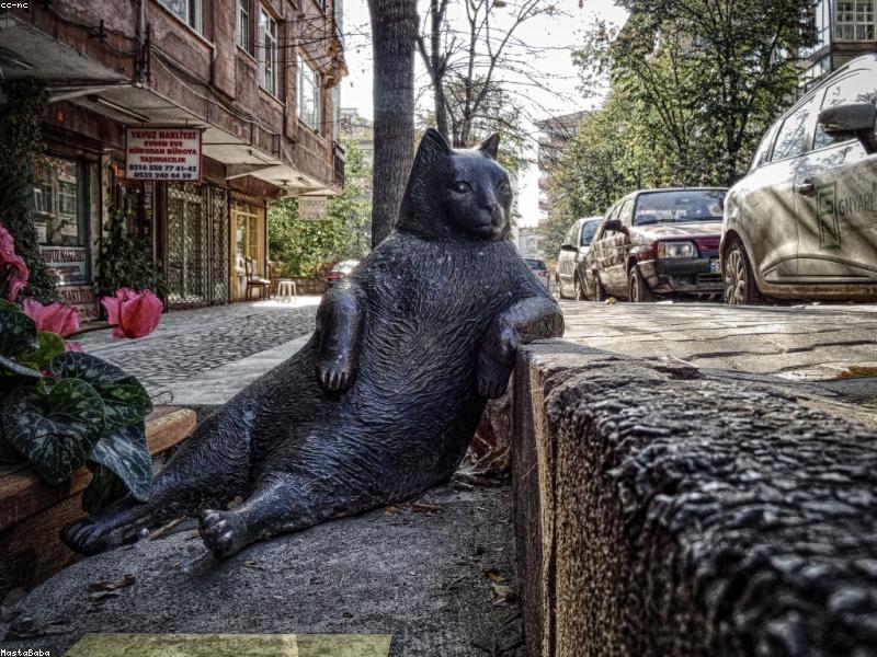 Adestramento Positivo: Eduque Seu Cão com Amor e Respeito