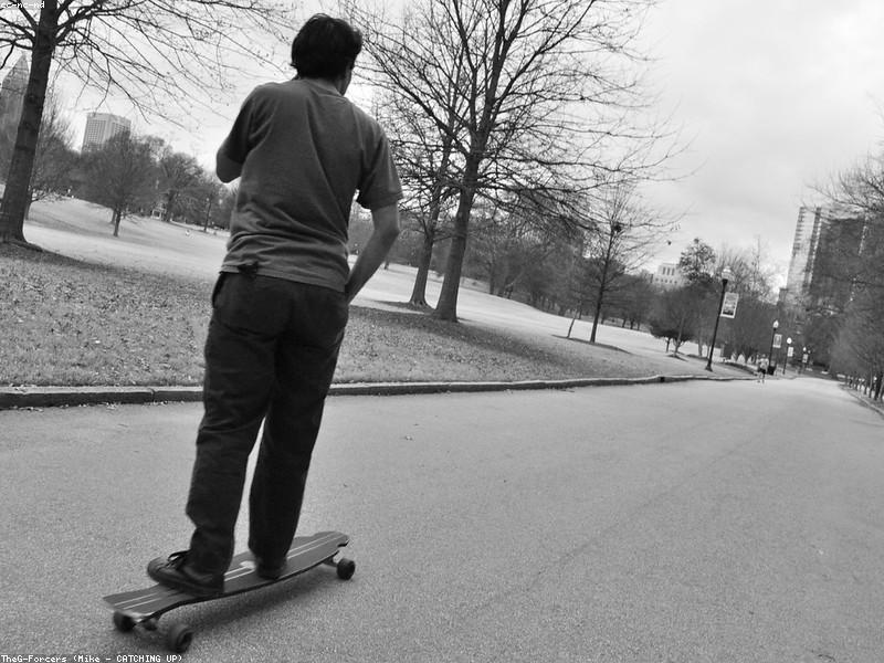 Passeios com Seu Cão: Muito Além do Exercício Físico